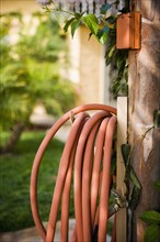 Coiled orange garden hose