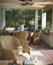Small dog on wicker armchair on porch