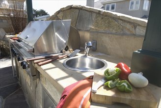 Outdoor grill and sink