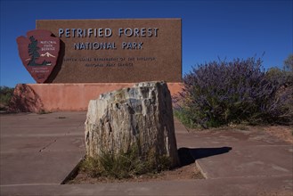 Petrified stump in front of Petrified Forest National Park sign