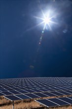 Sun shining over field of solar panels