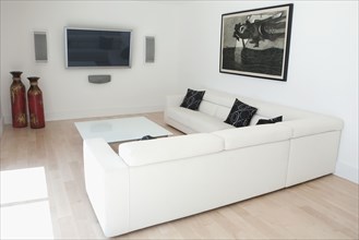 Sofas and coffee table in modern living room