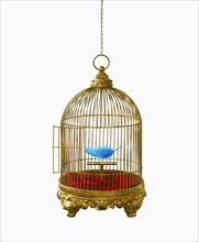 Blue feather in empty birdcage