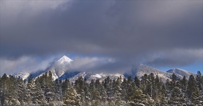 Snow capped mountains and trees under storm clouds