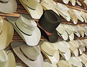 Top hat for sale among cowboy hats