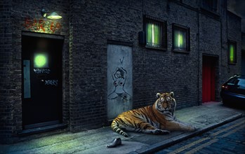 Illustration of tiger laying on city street