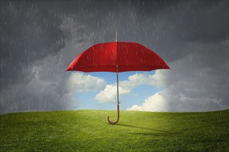 Red umbrella protecting grass from rain