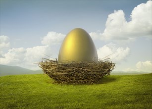 Golden egg in bird's nest