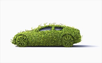 Car covered in growing plants