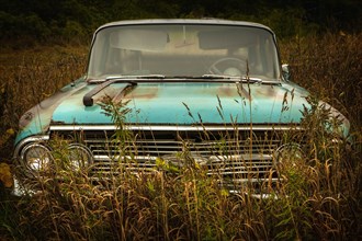 Vintage car parked in tall grass
