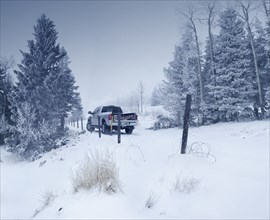 Truck in snowy landscape
