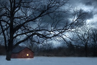 Bare tree over lit barn in snowy meadow