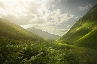 Rolling green hills in remote landscape