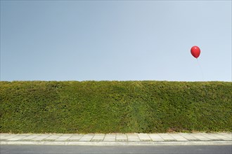 Red balloon floating over neatly trimmed hedges