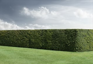 Neatly trimmed hedges and lawn under cloudy sky
