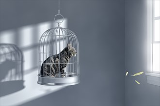Cat sitting in birdcage