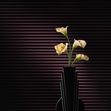 Flowers blooming in modern vase
