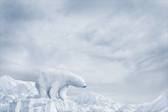 Polar bear standing on glacier