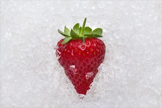 Strawberry on ice