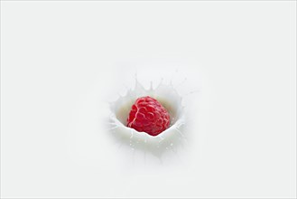 Raspberry splashing into milk