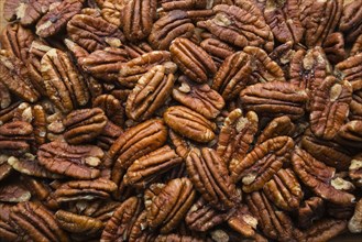 Pile of pecans