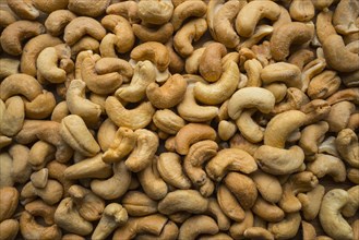 Pile of cashews