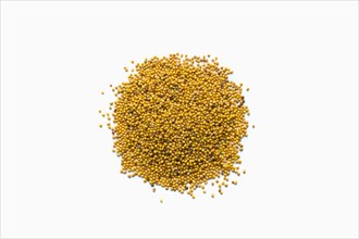 Pile of mustard seeds in shape of a circle