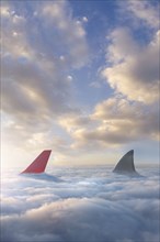 Shark fin chasing airplane rudder above clouds