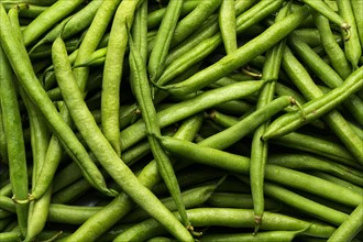 Pile of green string beans