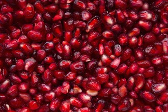 Pile of wet red pomegranate seeds