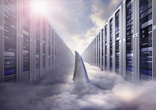 Shark fin swimming in cloud storage computer servers