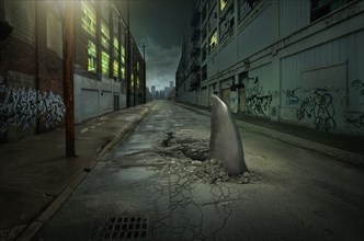Shark fin swimming in dilapidated city street
