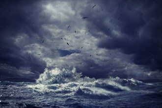 Birds flying over rough ocean waves