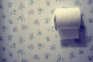 Toilet paper and wallpaper