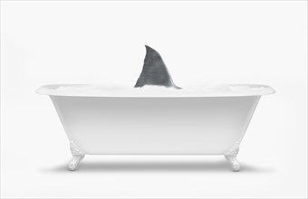 Fin of shark swimming in bathtub