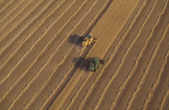 Combine harvesters in wheat field aerial view