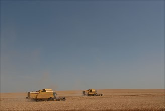 two combine harvesters working in wheat field