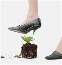 high heeled shoe threatening young plant