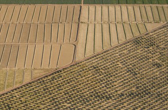 aerial view of patchwork fields