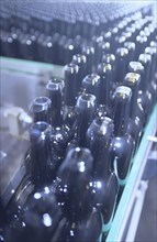 Bottles on Conveyor Belt in Factory