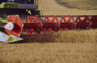 Combine harvester harvesting wheat close-up