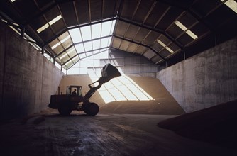 Front-end loader in grain warehouse