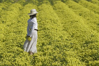 Woman in white dress and hat standing in field of yellow flowers