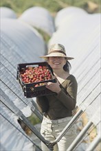 Woman holding box of freshly picked strawberries in plantation