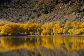 Autumn trees and hillside reflecting in lake