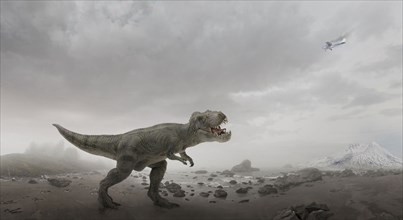 Airplane flying over dinosaur in rocky field