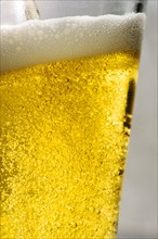 Close up of carbonated beer in glass
