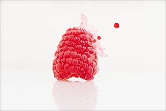 Close up of juice splashing on raspberry