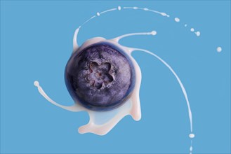 Close up of blueberry spinning with milk