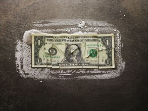 Frozen broken dollar bill
